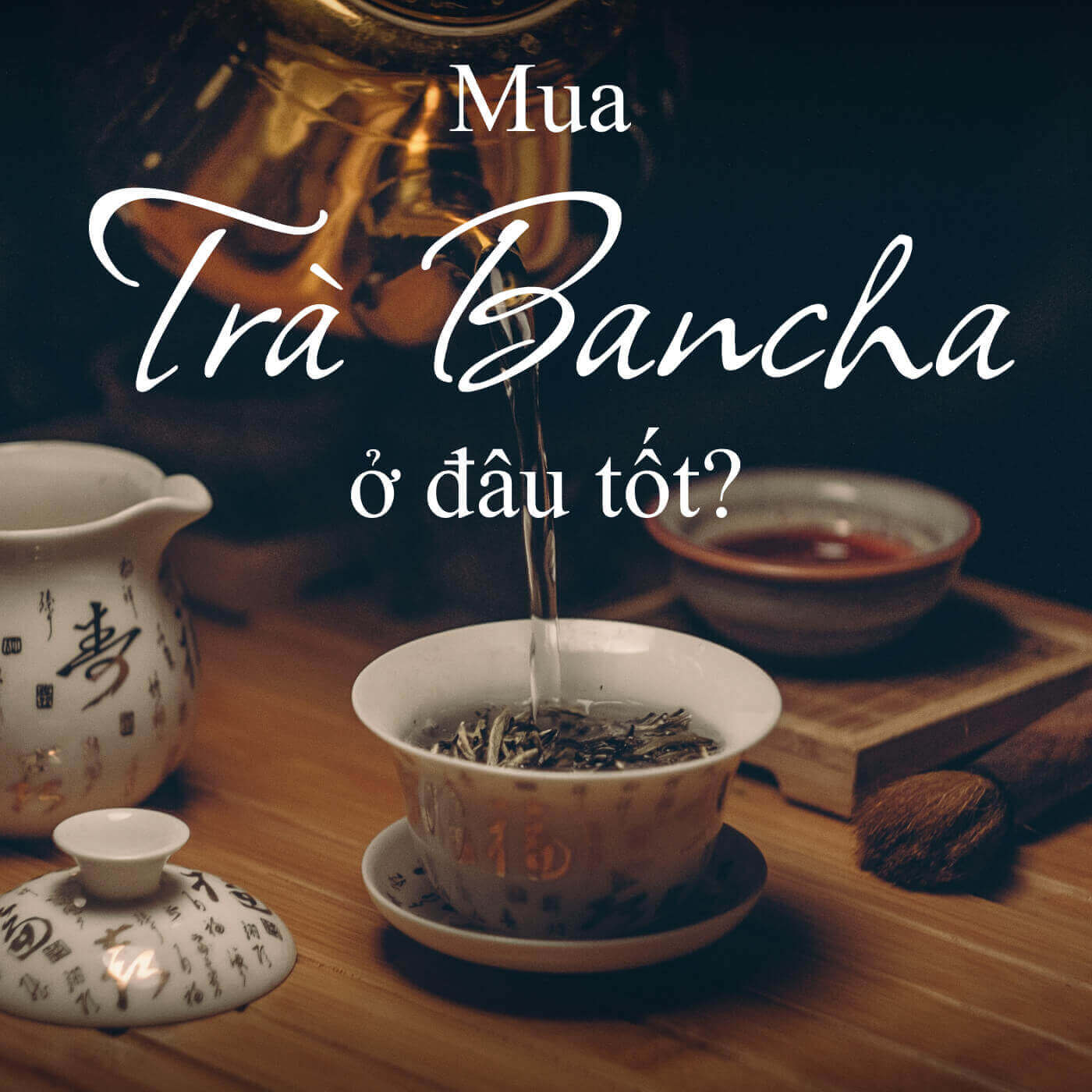 Mua Bancha ở đâu tốt